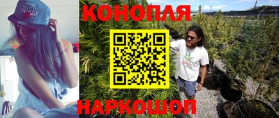стафф Кимры