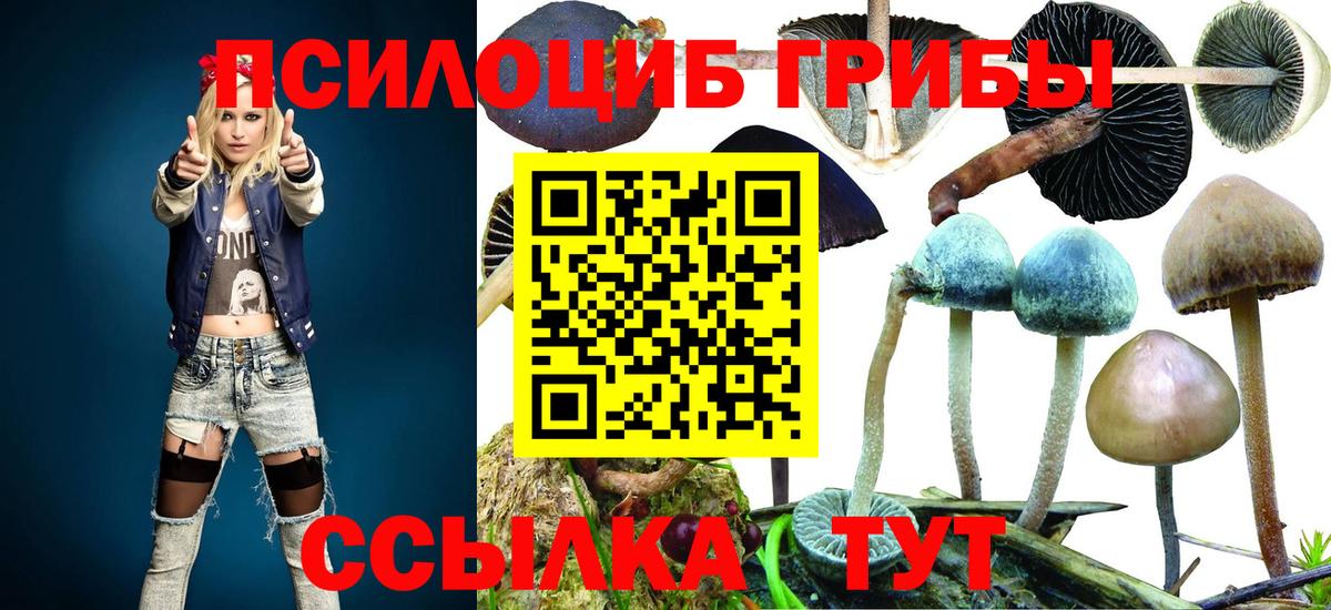 Чайковский  Галлюциногенные грибы мицелий  Вход с VPN  Галлюциногенные грибы мицелий 